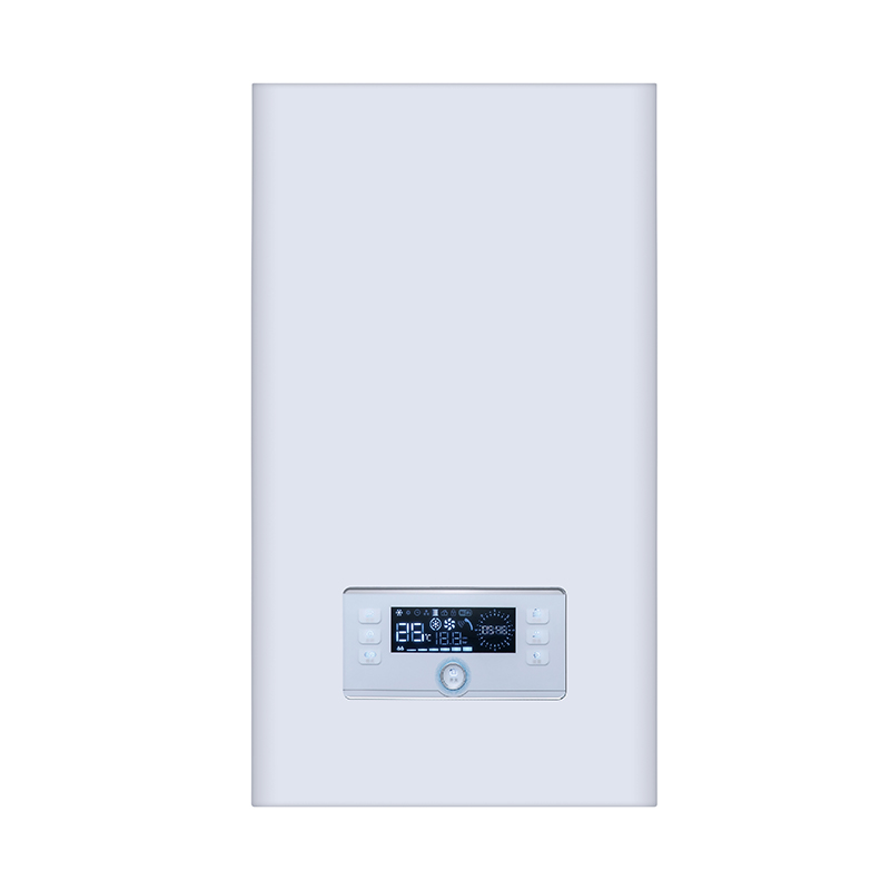 Настенный газовый бойлер.2